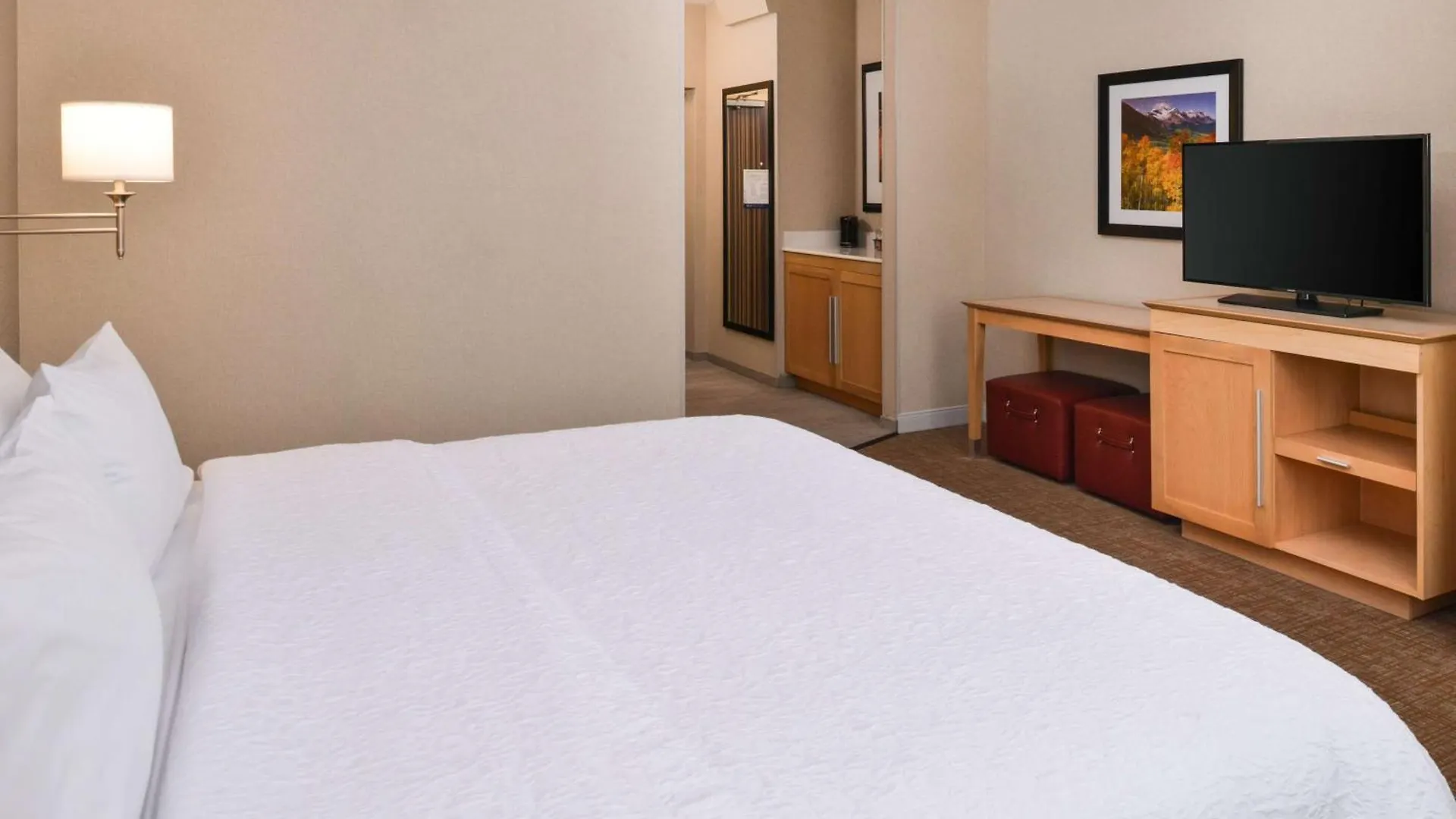 Hampton Inn & Suites Denver-Speer Boulevard DEN