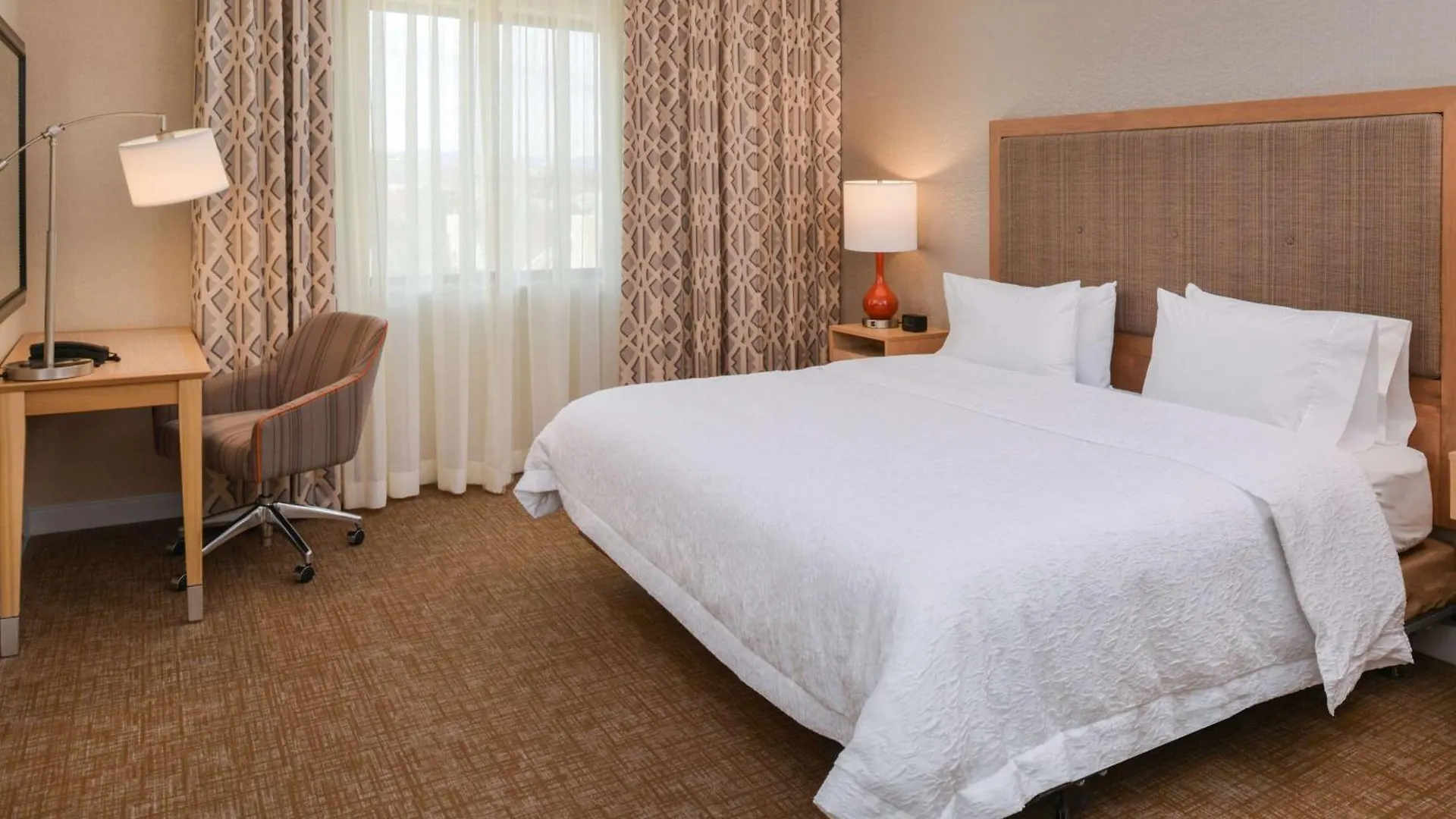 Hampton Inn & Suites Denver-Speer Boulevard DEN